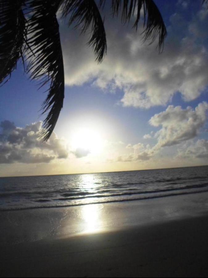 Carneiros Beach Resort - Flat Tamandaré Kültér fotó